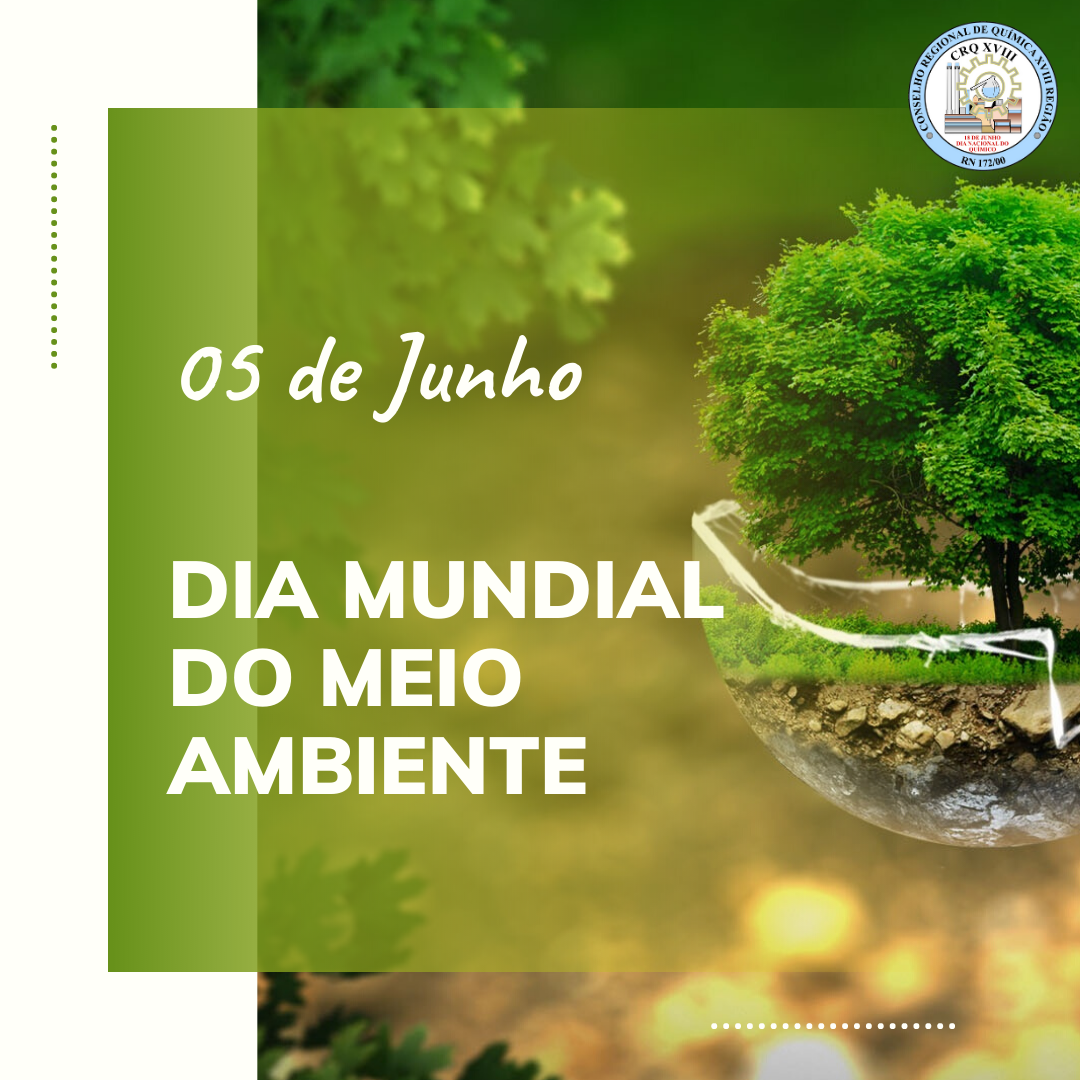 DIA MUNDIAL DO MEIO AMBIENTE